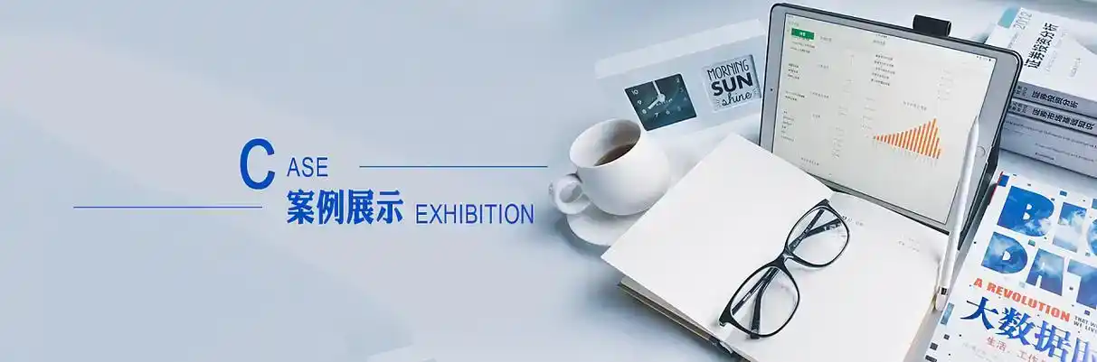 永城市软件开发